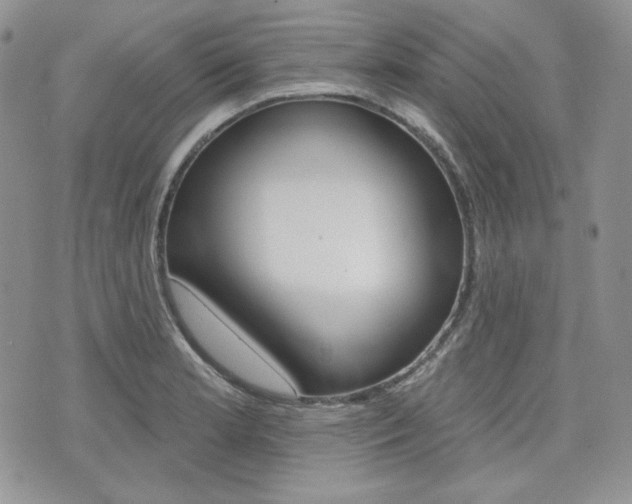 X0000073851181200608100955