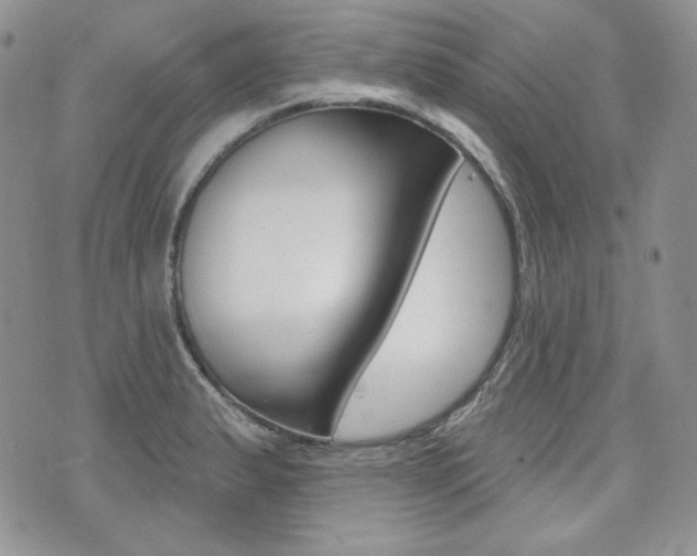 X0000073851183200608100955