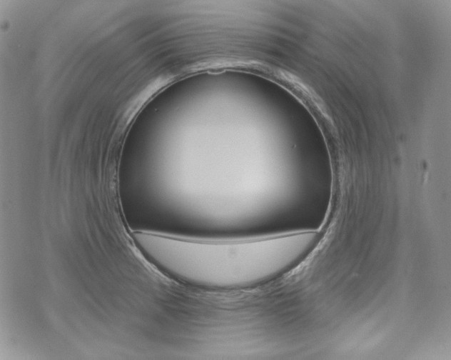 X0000073851185200608100955