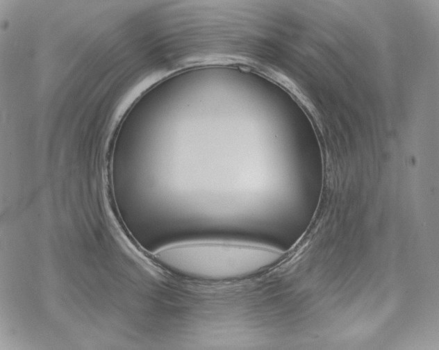 X0000073851187200608100955