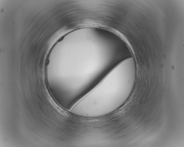 X0000073851195200608100955