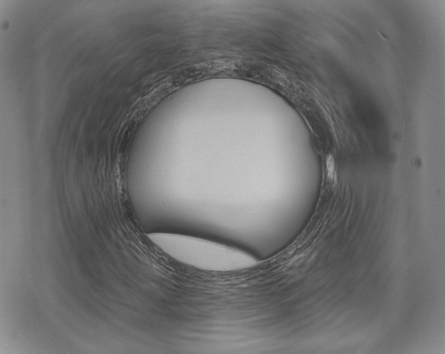 X0000073851203200608100954