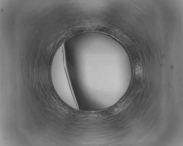 X0000073851204200608100954