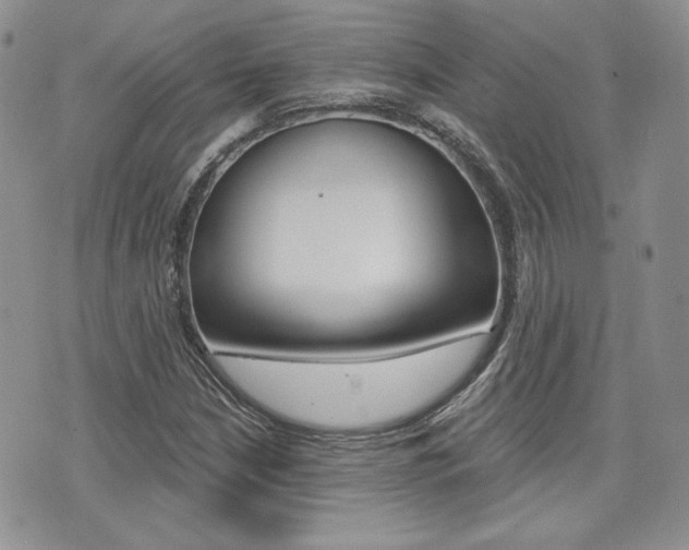 X0000073851210200608100954