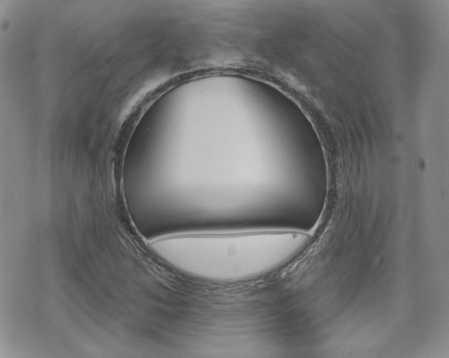 X0000073851214200608100954