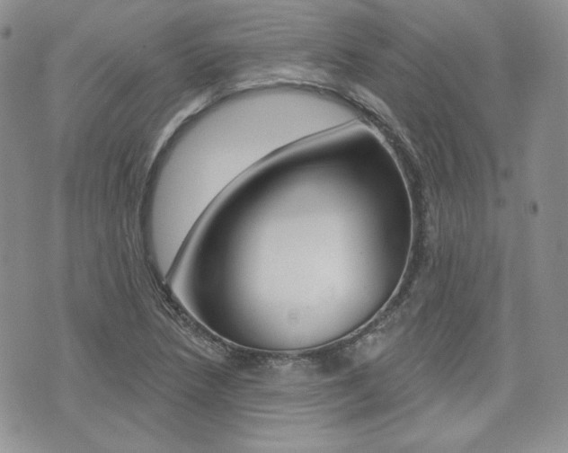 X0000073851218200608100954