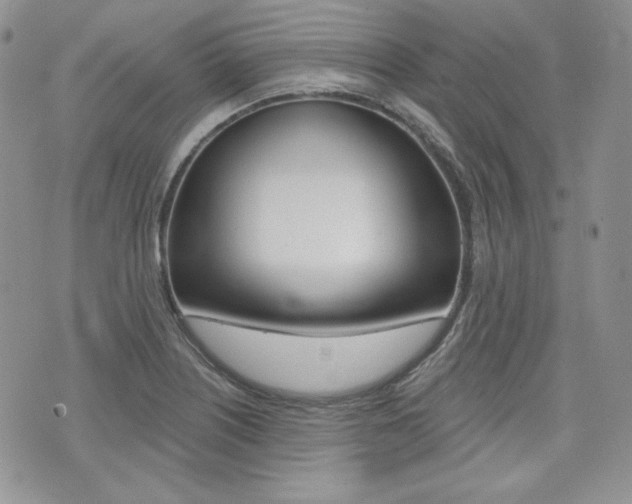 X0000073851226200608100954