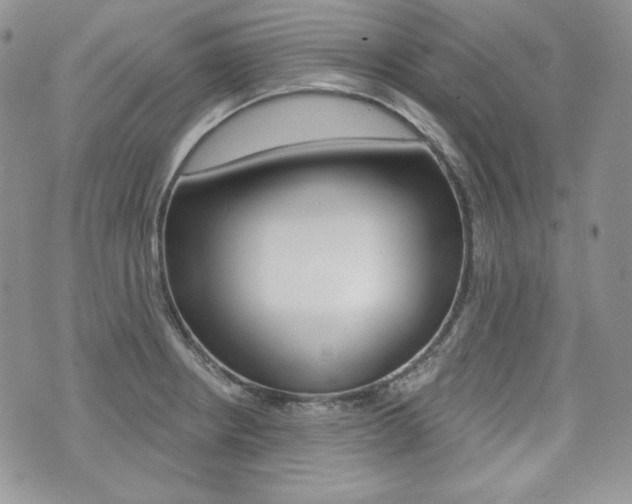 X0000073851234200608100954