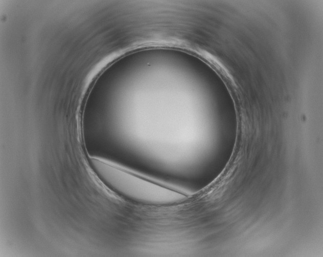 X0000073851238200608100955