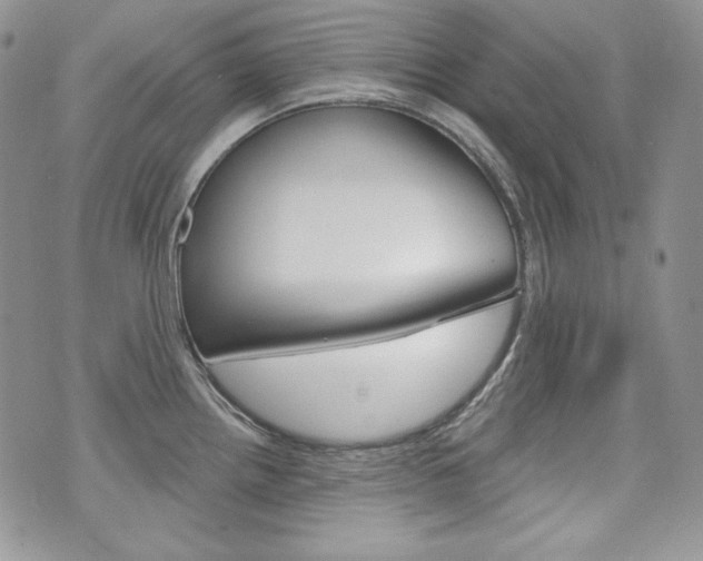 X0000073851242200608100955