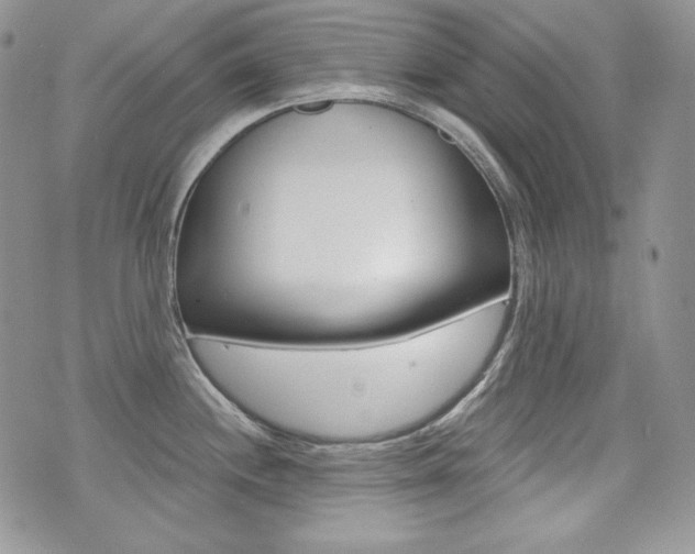 X0000073851244200608100955