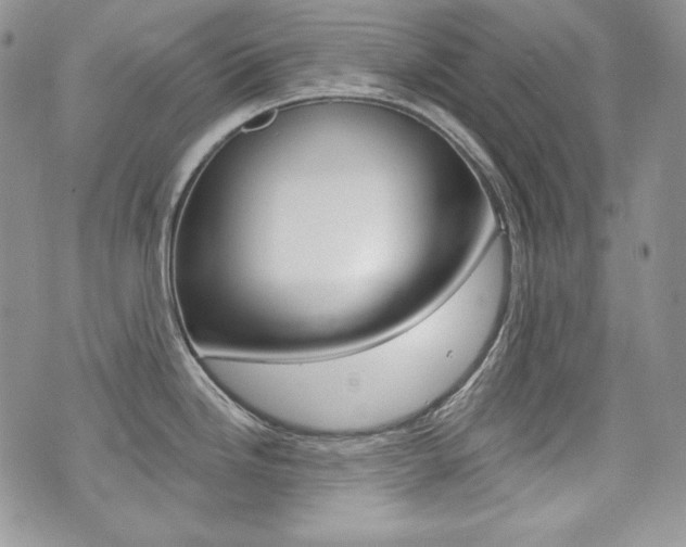 X0000073851246200608100955
