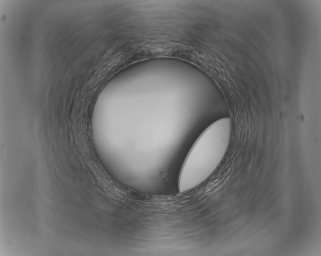 X0000073851249200608100954