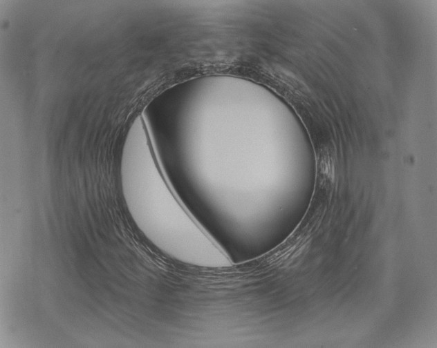 X0000073851252200608100954