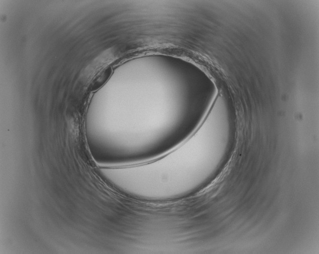 X0000073851257200608100954