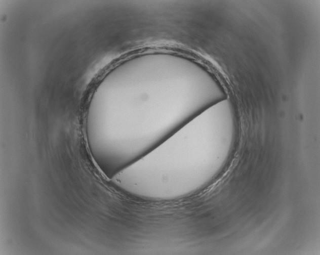 X0000073851263200608100954