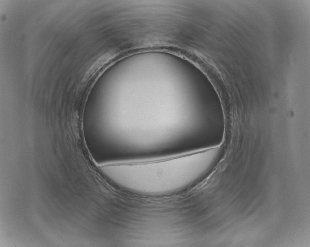X0000073851265200608100954