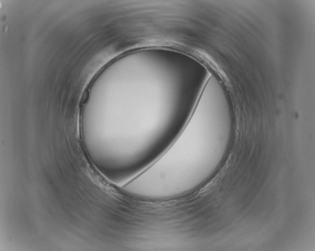 X0000073851276200608100953