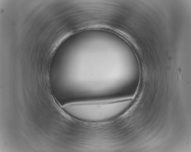 X0000073851289200608100953