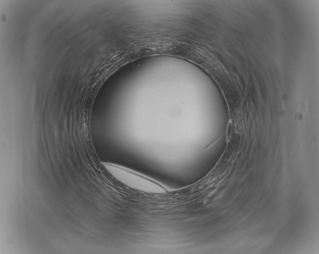 X0000073851298200608100952