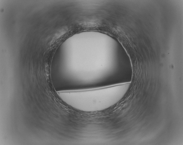 X0000073851301200608100952