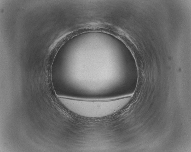 X0000073851304200608100952