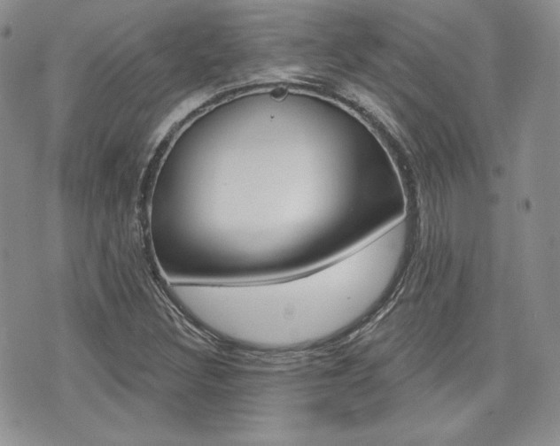 X0000073851308200608100952