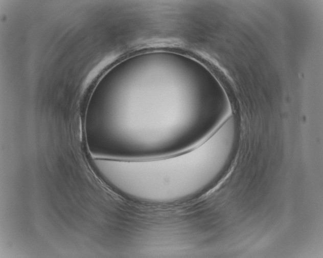 X0000073851317200608100953