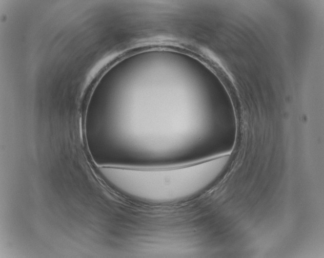 X0000073851320200608100953