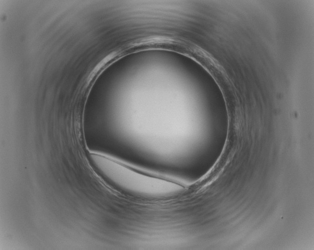 X0000073851321200608100953