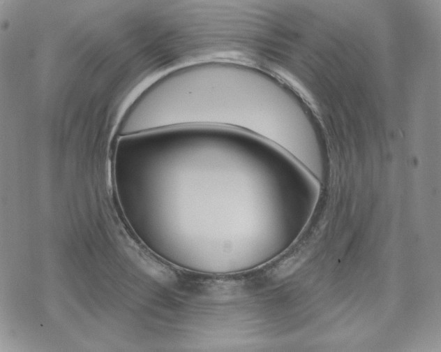 X0000073851324200608100953