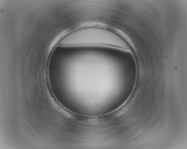 X0000073851330200608100953