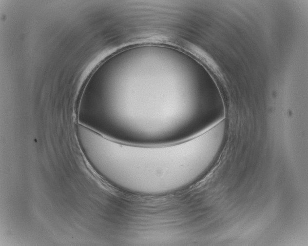 X0000073851332200608100953