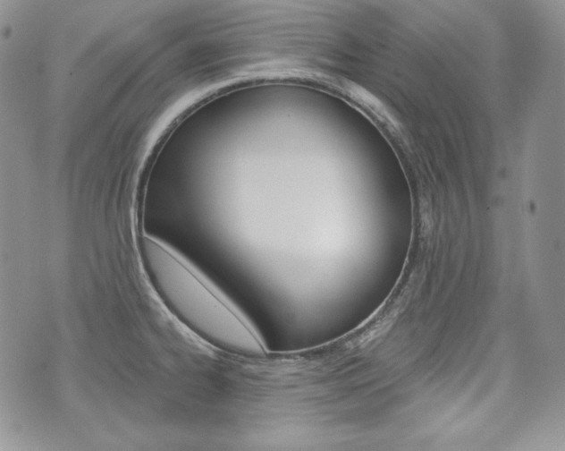 X0000073851334200608100953
