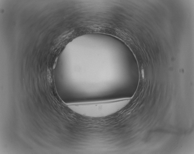 X0000073851347200608100952