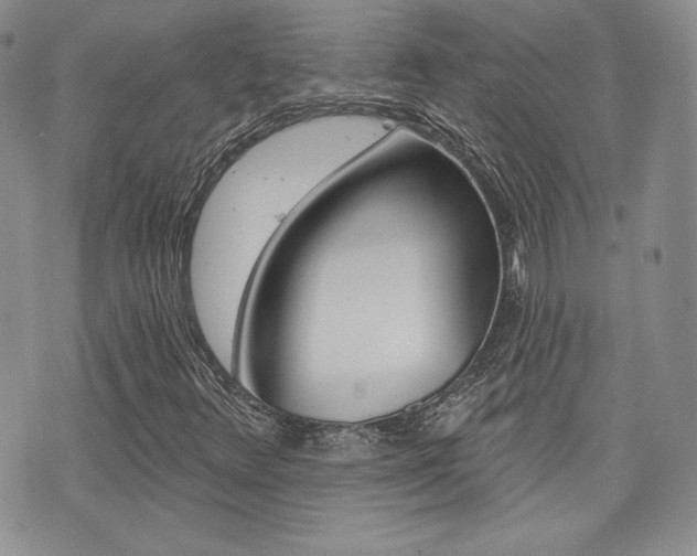 X0000073851348200608100952