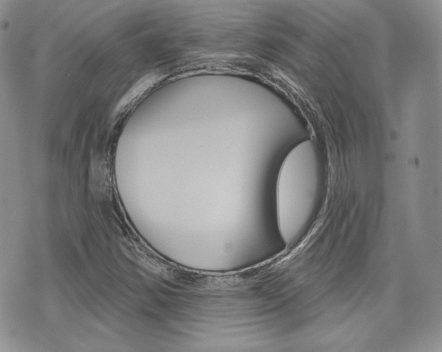 X0000073851354200608100952