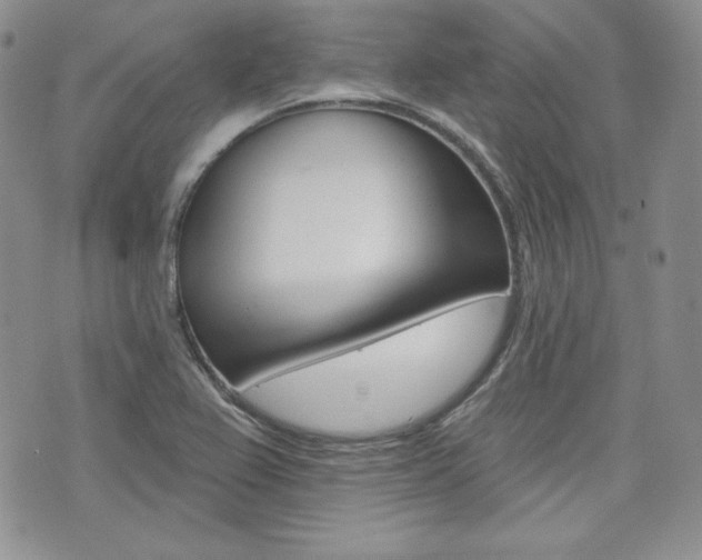 X0000073851367200608100952