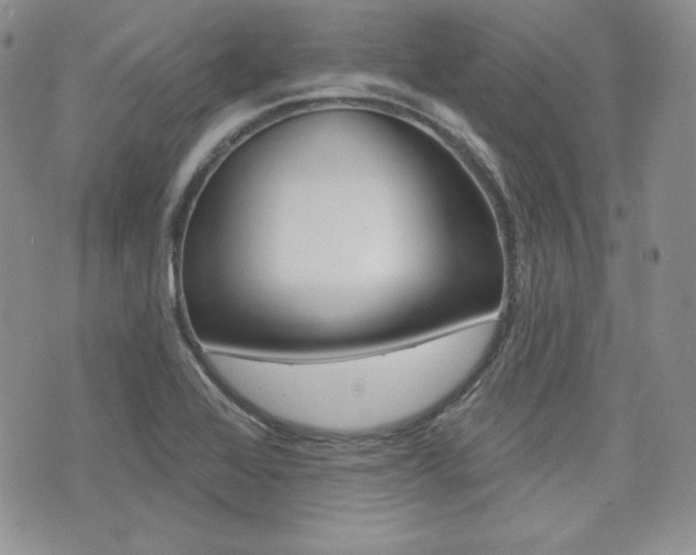 X0000073851368200608100952