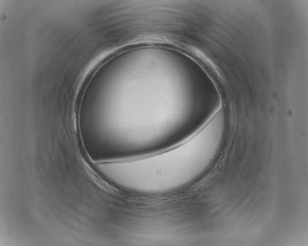 X0000073851372200608100952
