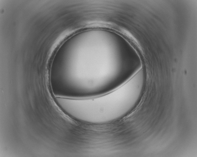 X0000073851376200608100952