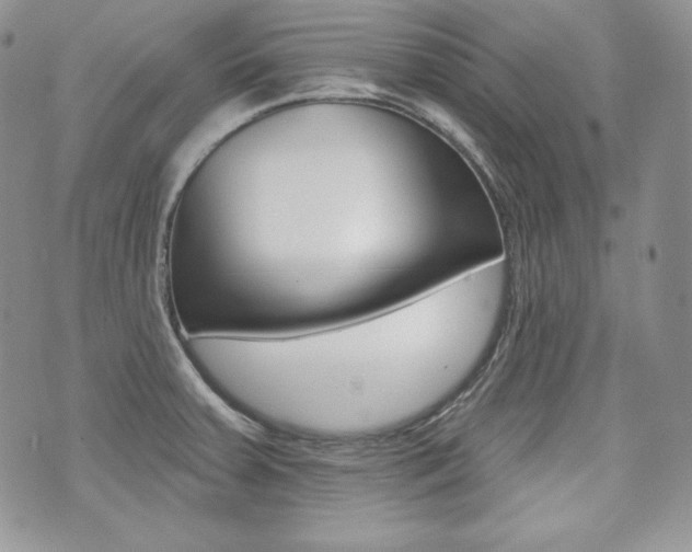 X0000073851379200608100952
