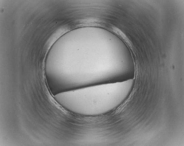 X0000073851386200608100952