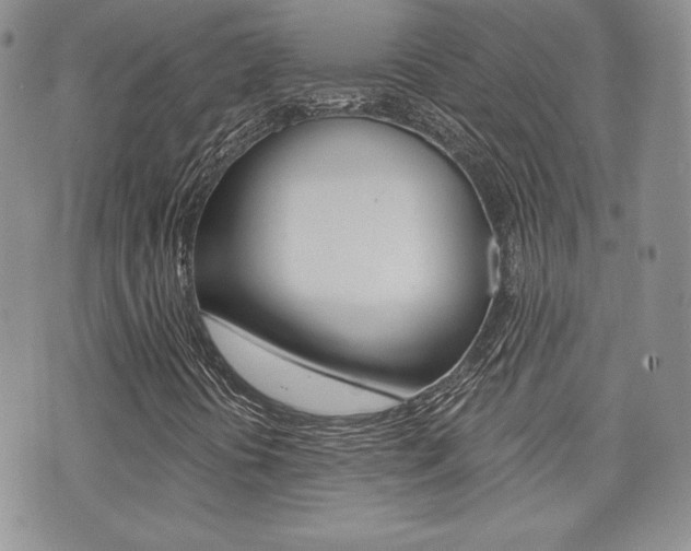 X0000073851394200608100951