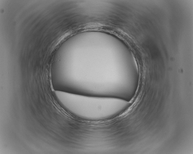 X0000073851401200608100951