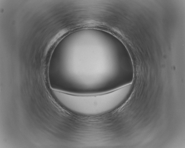 X0000073851410200608100951
