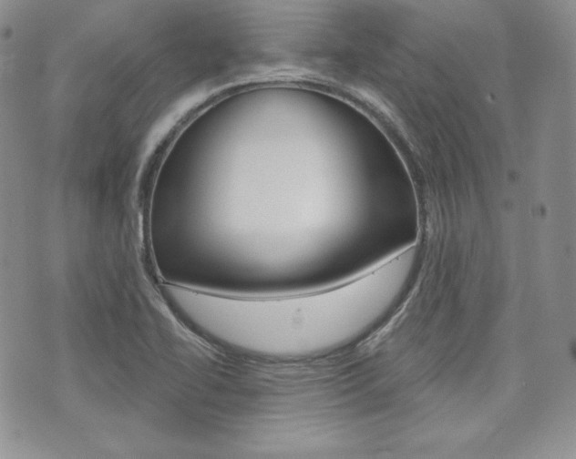 X0000073851414200608100951