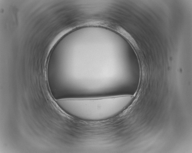 X0000073851436200608100951