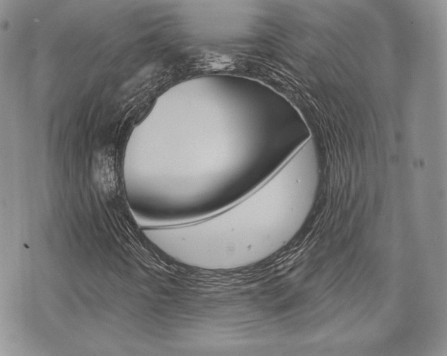 X0000073851442200608100951