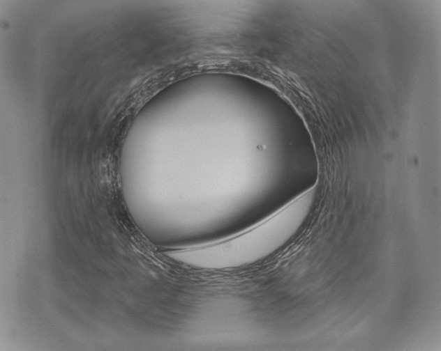 X0000073851445200608100951